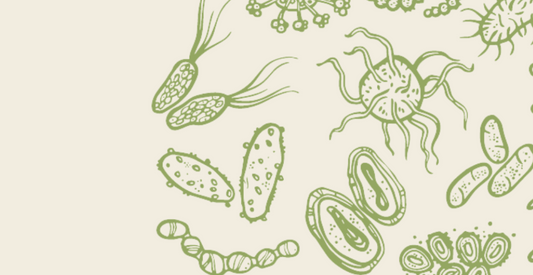 The Complete Guide to Your Skin Microbiome